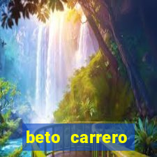 beto carrero cidades proximas